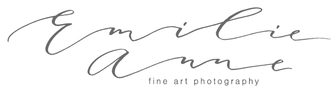 Emilie Anne Photography